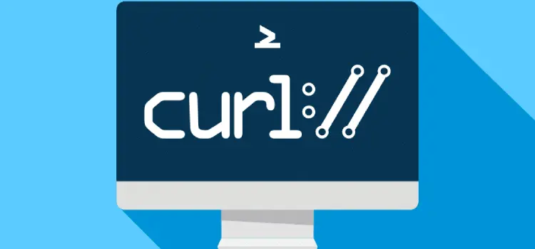 curl获取公网(外网)IP
